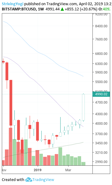 狂飙20%破5000美元 疯狂的比特币又回来了？