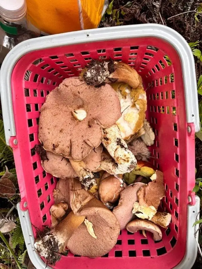 下载欧瑞莲易联网app_欧易怎么下载_新版欧瑞莲易莲网下载
